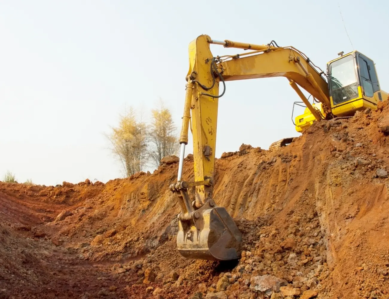 Prepping the Ground for Central Florida’s Biggest Dreams​